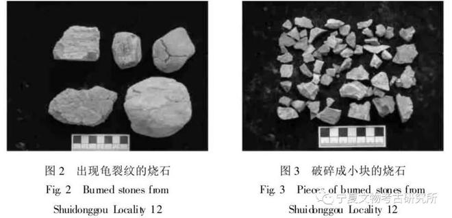 水洞沟第12地点古PG PG电子人类用火研究(图2)