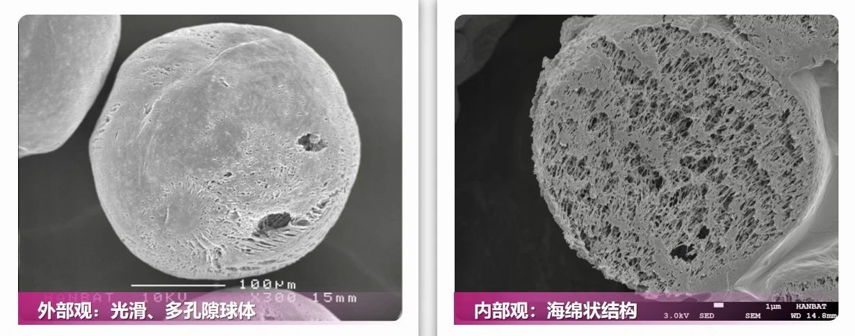 深圳联合丽格谈：再生材料胶原直补 再现童颜(图12)